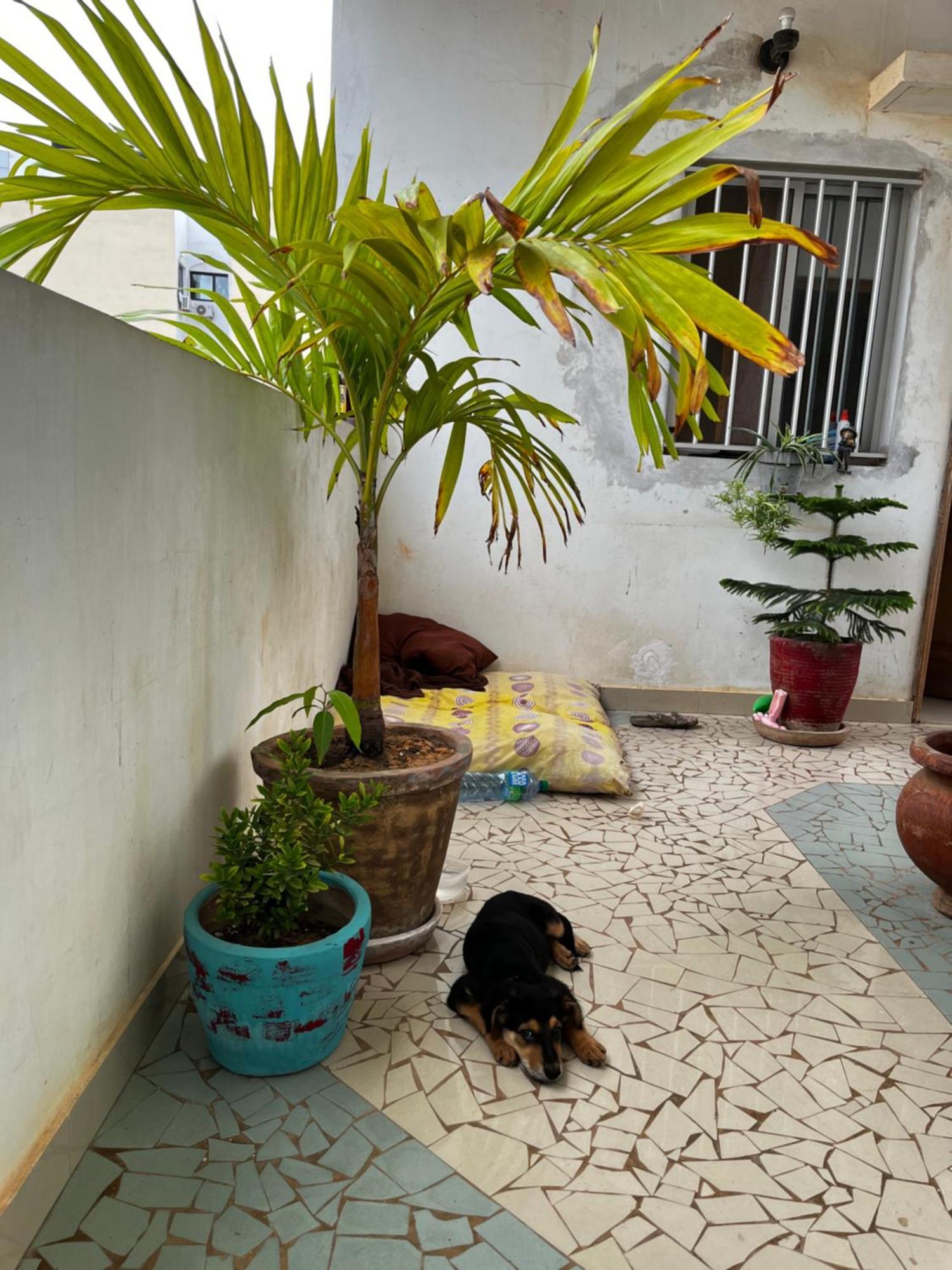 Like At Home Dakar Exterior foto